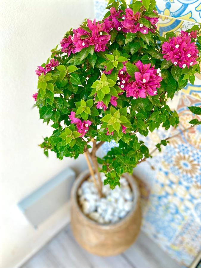 דירות סן ויטו לו קאפו Casa Sole מראה חיצוני תמונה